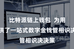 比特派链上钱包  为用户提供了一站式数字金钱管相识决决策