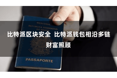 比特派区块安全  比特派钱包相沿多链财富照顾
