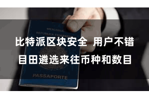 比特派区块安全  用户不错目田遴选来往币种和数目