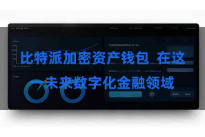 比特派加密资产钱包  在这一未来数字化金融领域